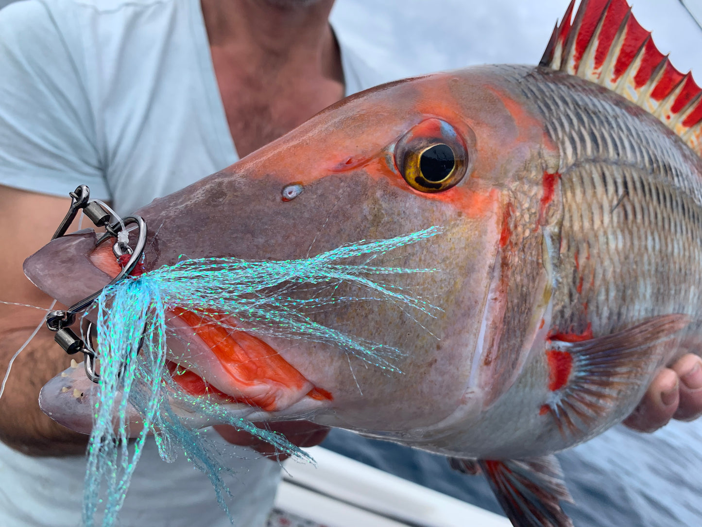 Stiker 7 Gangs Value Pack